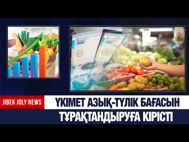 Үкімет азық-түлік бағасын тұрақтандыруға кірісті