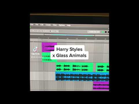 Harry Styles x Glass Animals (Carneyval Mashup)