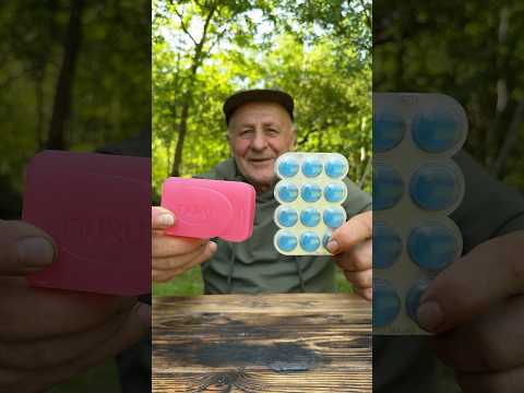 Survival Skills: Made a Handy Survival Soap 🧼🌳 #survival #camping #bushcraft #outdoors #lifehacks