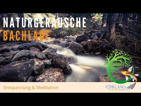 🌊 Leise Geplätscher eines Baches | 🌳Naturgeräusche für tiefe Entspannung | 1h