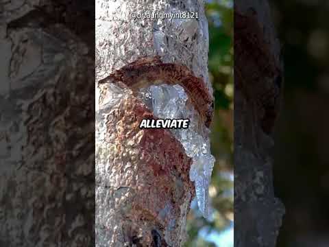 Crystal food grade high quality karaya gum, packaging type: ...