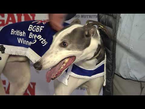 2020 BGBF BRITISH BRED DERBY FINAL - T3 ELDERBERRY SKY