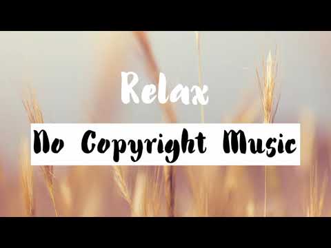 Background Music for Live Streaming (3 Hours No Copyright Music)