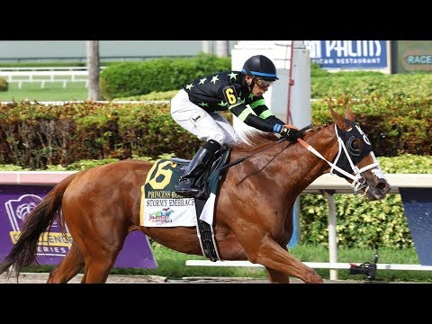 Gulfstream Park Carrera 12 (The Princess Rooney G2) - 29 de Junio de 2019