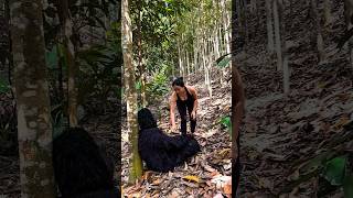 Download lagu I Met a Gorilla and I Escaped 😱🦍🦍#bushcraft #camping #survival#p4093 mp3 Download lagu I Met a Gorilla and I Escaped 😱🦍🦍#bushcraft #camping #survival#p4093 mp3