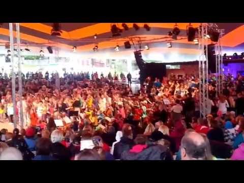 Näppärit ja Paleface @ Kaustinen FMF 7.7.2015