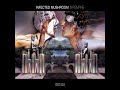 Infected Mushroom - Spaniard