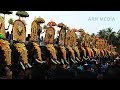 Parkkadi Pooram 2018 Kerala Elephants