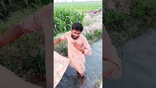 Download lagu rolly wichu song mp3