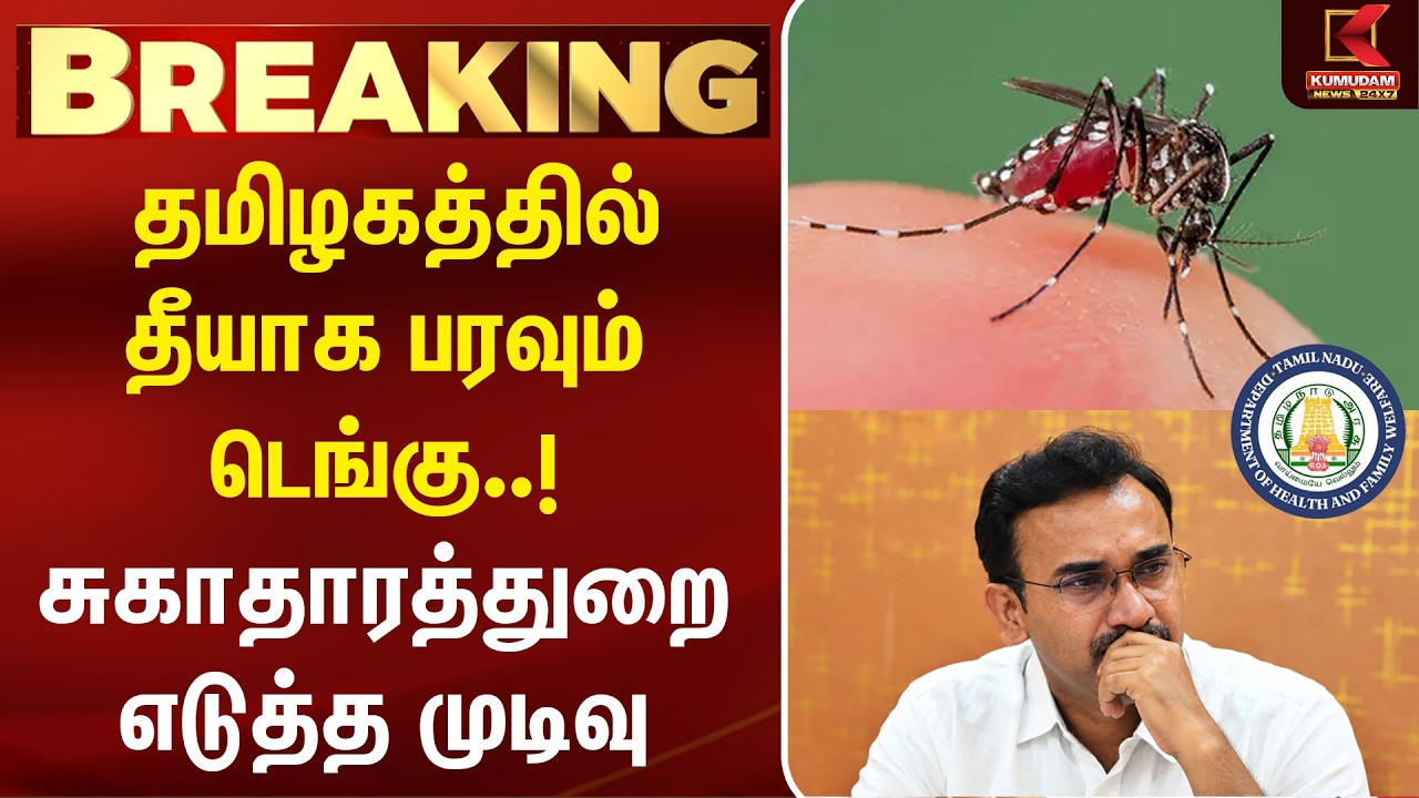தமிழகத்தில் தீயாக பரவும் டெங்கு..! சுகாதாரத்துறை எடுத்த முடிவு | Dengue | Fever Cases | Health News