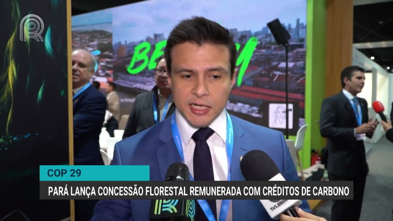 COP 29 | Pará lança concessão florestal remunerada com créditos de carbono