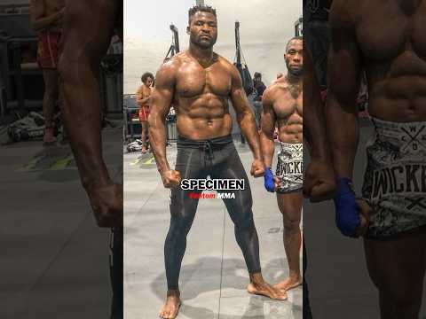 Why Francis Ngannou Is A Human Specimen