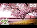 Relaxing Piano Music: Romantic Music, Beautiful Relaxing Music, Sleep Music, Stress Relief ★122 mp3 Relaxing Piano Music: Romantic Music, Beautiful Relaxing Music, Sleep Music, Stress Relief ★122 mp3
