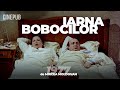 IARNA BOBOCILOR 1977 De Mircea Moldovan Film Comedie Online Pe CINEPUB