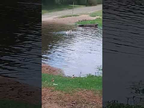 san francisco arroyo Paysandú Uruguay 🇺🇾❤️