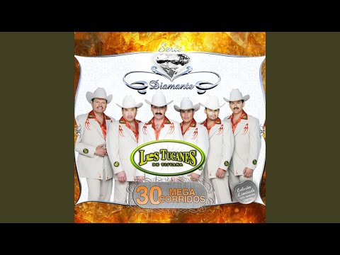 No Sólo De Traficante