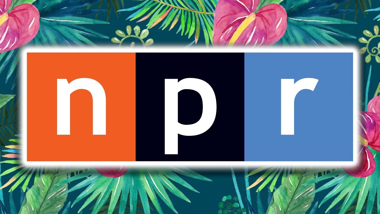 The Greatness of NPR's Tiny Desk Concerts