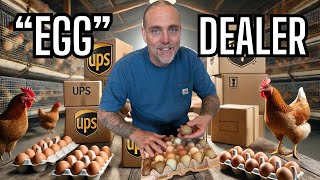 Farm Hustle: Shipping Hatching Eggs, Selling Rams & Collecting Eggs!