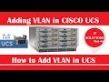 How to add VLAN in UCS