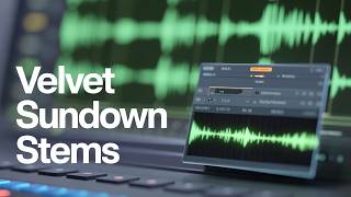 What Makes Sensation Velvet Sundown So Popular?