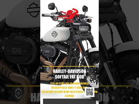 Harley-Davidson Softail Fat Bob - Video 1