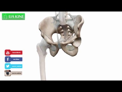 Artroza gradului 0 1 al articulației genunchiului