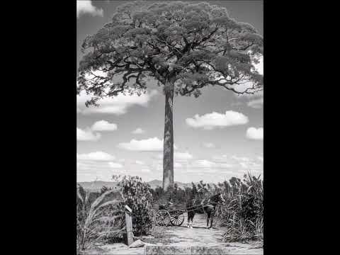 CAÇAPAVA SP INICIO SECULO XX -  FOTOS ANTIGAS PRETO E BRANCO  RESTAURADAS E ANIMADAS POR IA.