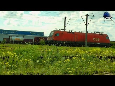 Rail Activity in Curtici - Activitate Feroviara in Curtici - Eisenbahnaktivität in Curtici