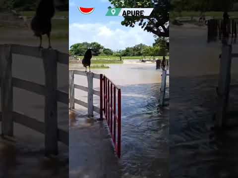 Exigen atención urgente para unas 180 familias damnificadas de Puerto Infante en Apure