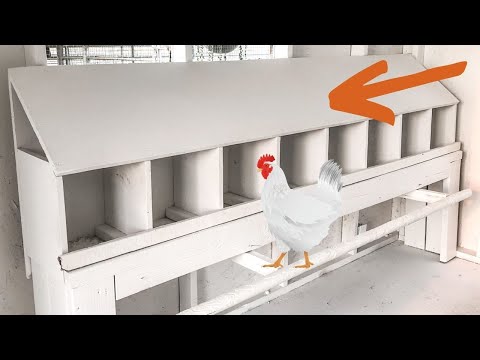 9 Must-Have Chicken Coop Features!