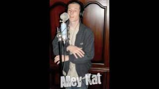 Let Me Show You Someting - Alley Kat