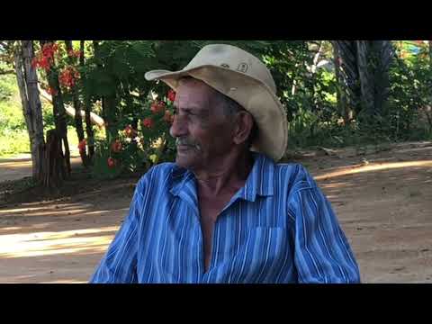 Sanfoneiro da beija-flor comunidade de Boa Vista do tupim Bahia.