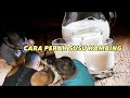 Bodybuilder Perah Susu Kambing Fresh