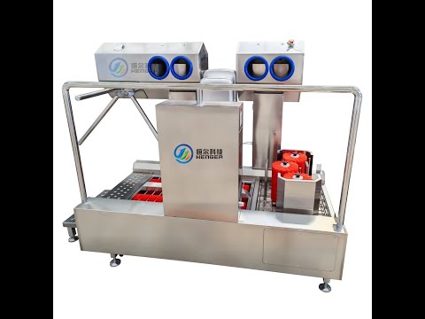 Hygiene station, boots washing machine