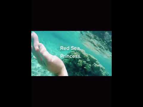 Thumbnail for Read Sea Princess Hotel