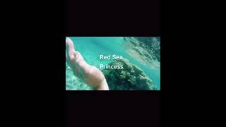 Read Sea Princess Hotel