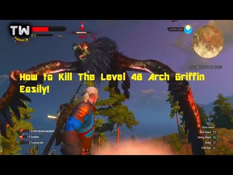 The Witcher 3 How to Kill The Level 48 Arch Griffin Easily!