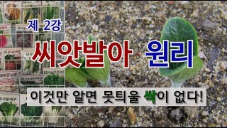 제2강 씨앗 발아 원리 이것만 알면 못 틔울 싹이 없다. #씨앗 발아 잘되는 법 #씨앗 파종하기.