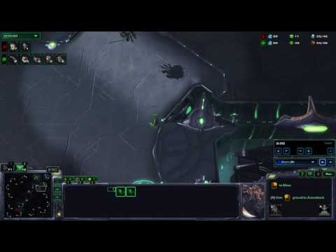 The PiG Daily #8 - Guru's Full Swarm ZvP - Guru vs Showtime!