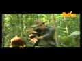 Promo Indera Joned Aksi Tv3 Bermula 21 5 2012
