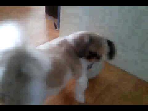 Qik - 로이 by Joowon KIM