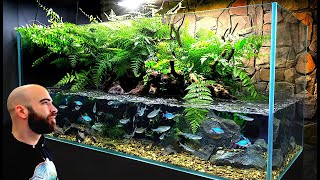 I Created a Vortex River In My Aquarium (Minisode)