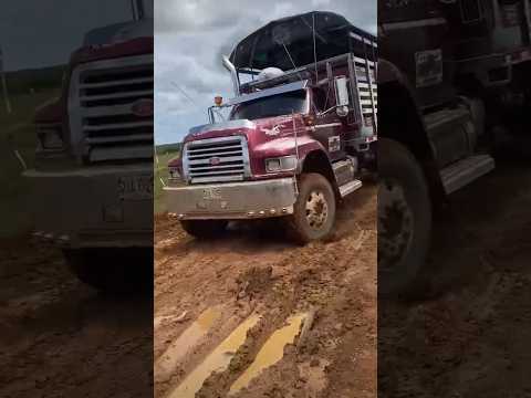 Camión Ford 8000 por las carreteras de Puerto Rico Meta #trucks #automobile #troquero #truckesvlogs