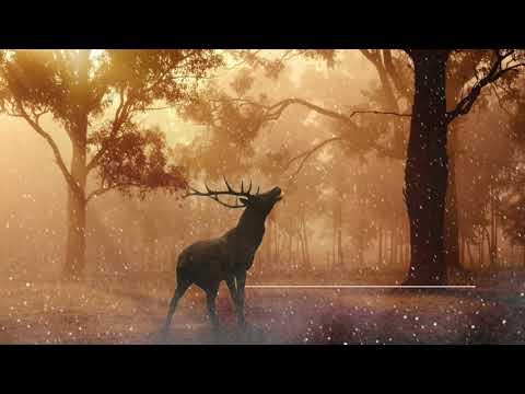 1 hour of magic fantasy music - Celtic Dreams by Celestial Aeon Project