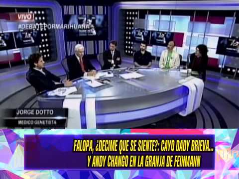 FEINMANN Y CHANGO - DEBATE MARIHUANA - 19-09-14