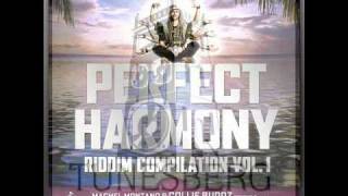 Fresharda - My Queen (Perfect Harmony Riddim) Partillo Prod (Feb 2011) Tunesberg Records