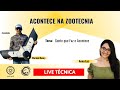 Gente que Faz e Acontece - Live Técnica com Márion Henry