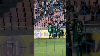 GOLAÇO DO VERDÃO! Léo Reis acertou na gaveta! Golaço para empatar o jogo contra o América. 🟢