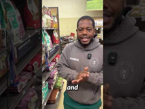 Is grain free food the cause of DCM in dogs?