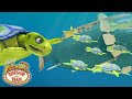 Checking On The Archelon Babies Dinosaur Train
